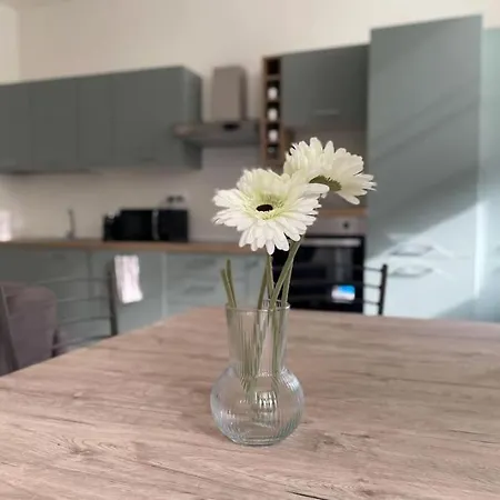 Apartament C Moderno Soleggiato Vista Cattedrale Genua
